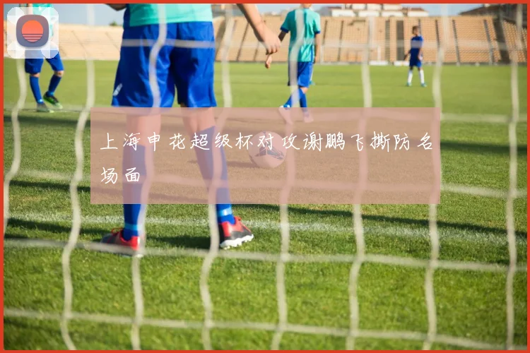上海申花超级杯对攻谢鹏飞撕防名场面