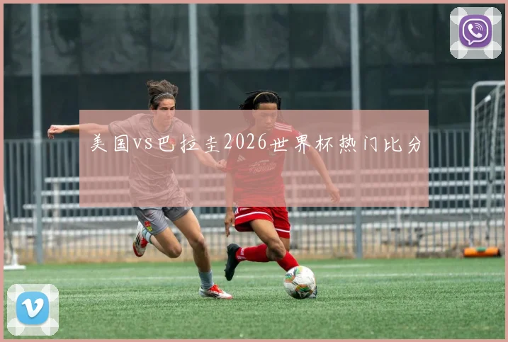 美国vs巴拉圭2026世界杯热门比分