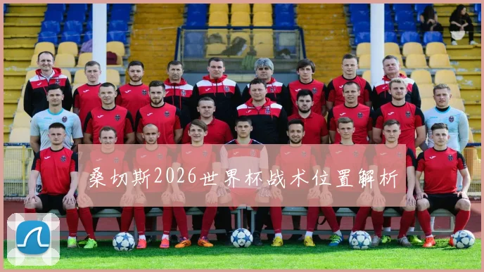 桑切斯2026世界杯战术位置解析