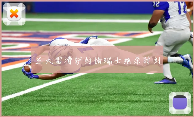 王大雷滑铲封堵瑞士绝杀时刻