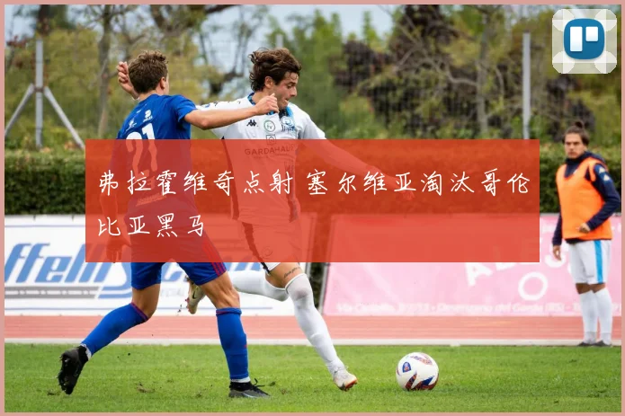 弗拉霍维奇点射 塞尔维亚淘汰哥伦比亚黑马