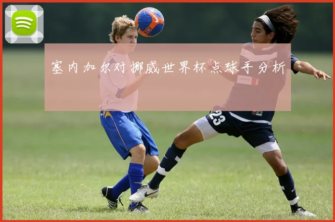 塞内加尔对挪威世界杯点球手分析