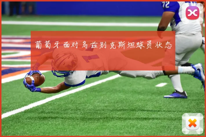 葡萄牙面对乌兹别克斯坦球员状态