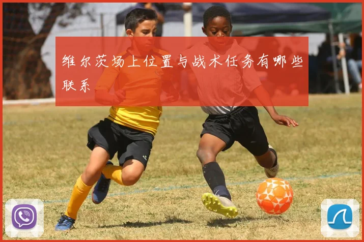 维尔茨场上位置与战术任务有哪些联系