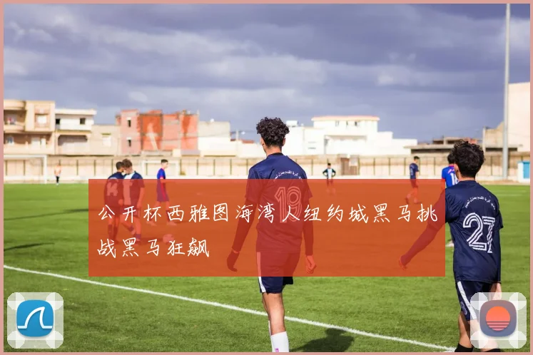 公开杯西雅图海湾人纽约城黑马挑战黑马狂飙