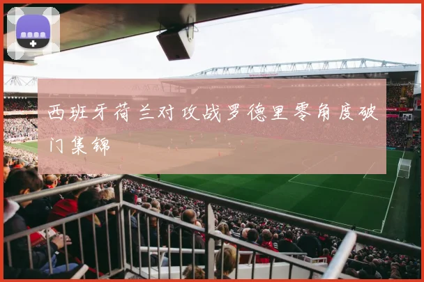 西班牙荷兰对攻战罗德里零角度破门集锦