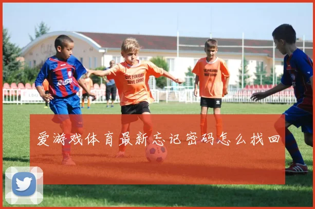 爱游戏体育最新忘记密码怎么找回